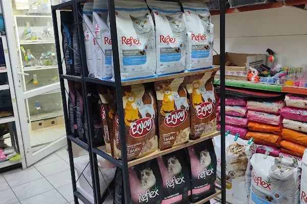 Gazi Oglu Akvaryum Pet Shop - Resim 12