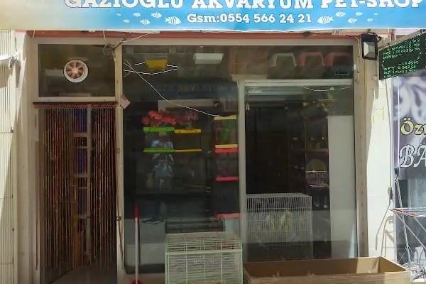 Gazi Oglu Akvaryum Pet Shop - Resim 16