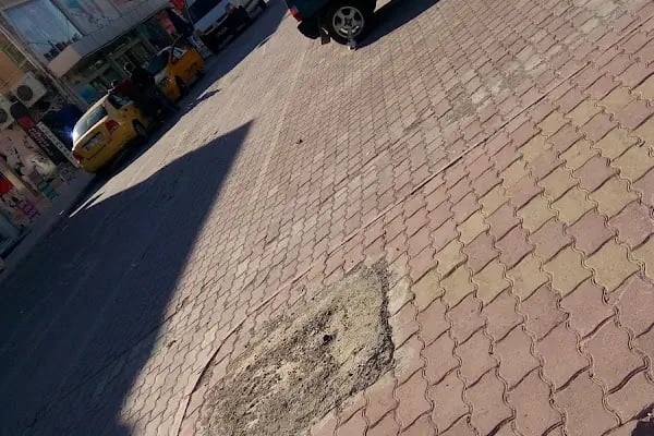Gazi Oglu Akvaryum Pet Shop - Resim 17