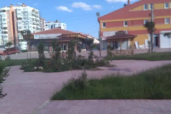 Gazi Oglu Akvaryum Pet Shop - Resim 18