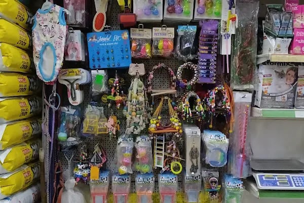 Gazi Oglu Akvaryum Pet Shop - Resim 5