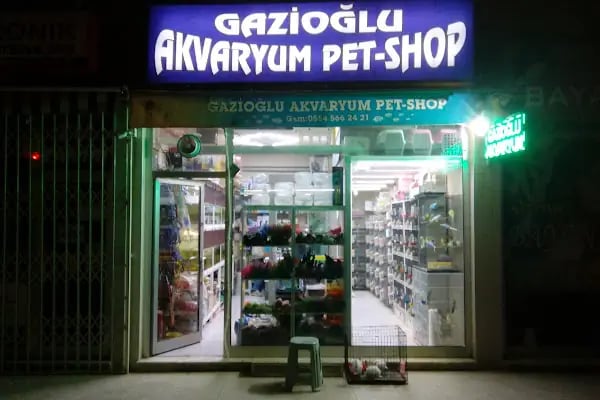 Gazi Oglu Akvaryum Pet Shop - Resim 10