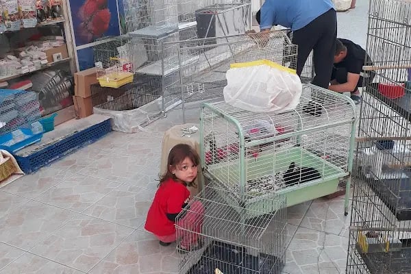 Gazi Oglu Akvaryum Pet Shop - Resim 2