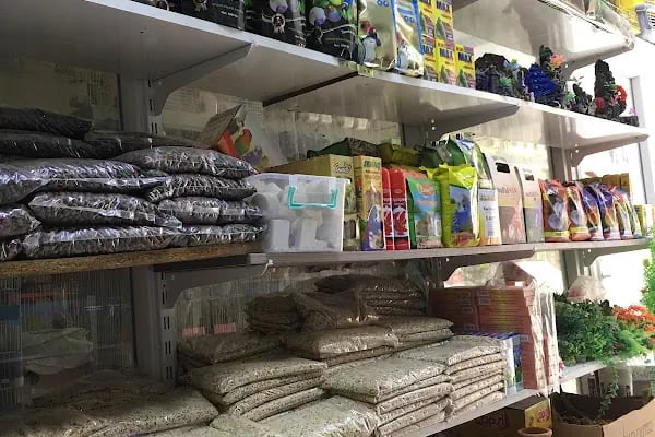 Gazi Oglu Akvaryum Pet Shop - Resim 7