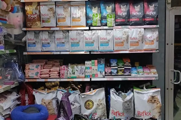 Gazi Oglu Akvaryum Pet Shop - Resim 9