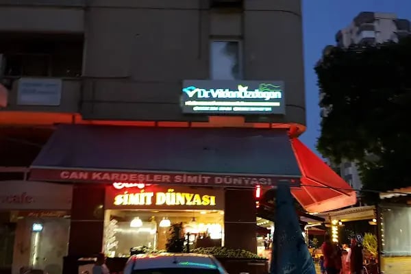 Dr. Vildan Özdoğan - Ozon Adana - Hacamat Adana - Glutatyon Adana - C Vitamini Adana - Resim 15