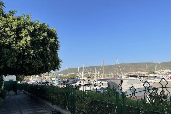 Bodrum Yat Limanı - Resim 3