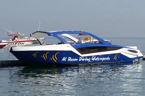 Tansal Marine - Resim 9