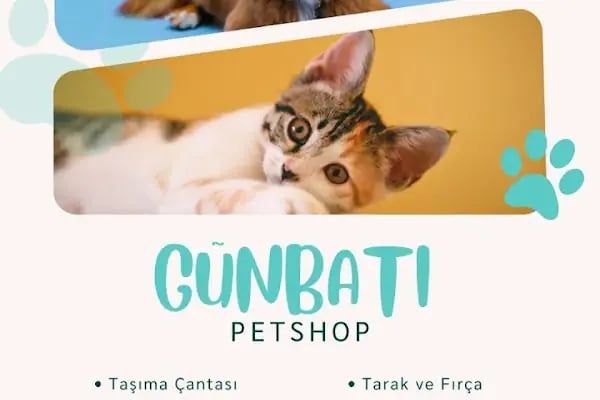 GÜNBATI PETSHOP - Resim 15