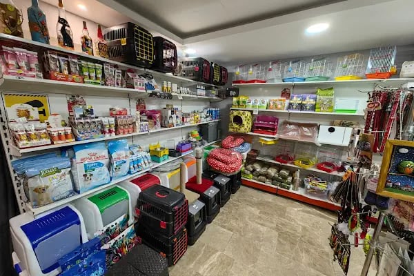 GÜNBATI PETSHOP - Resim 10