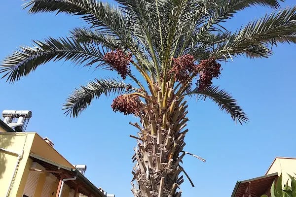 Örenkent Sitesi - Resim 13