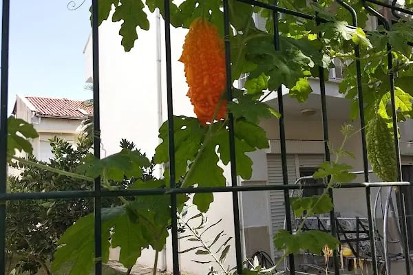 Örenkent Sitesi - Resim 16