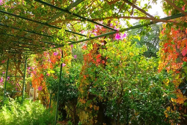 Örenkent Sitesi - Resim 10