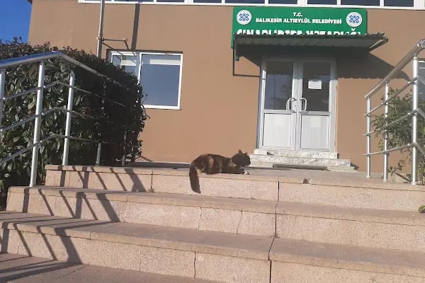Balıkesir Çınarlıdere Mezarlığı - Resim 15