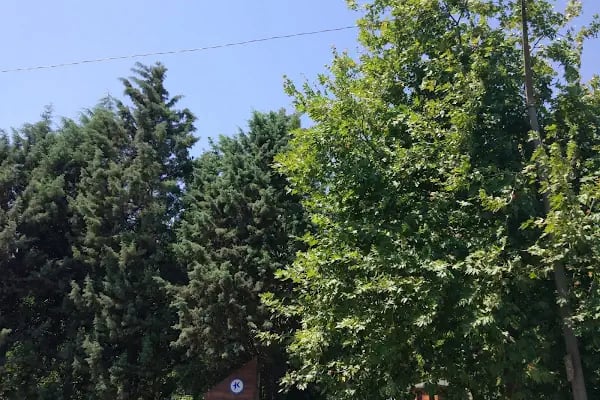 Selçuklu Parkı - Resim 20