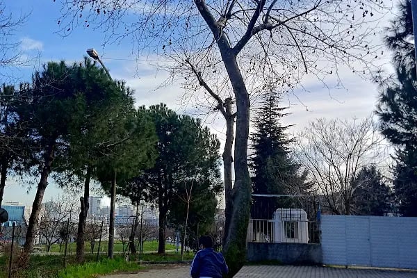 Selçuklu Parkı - Resim 15