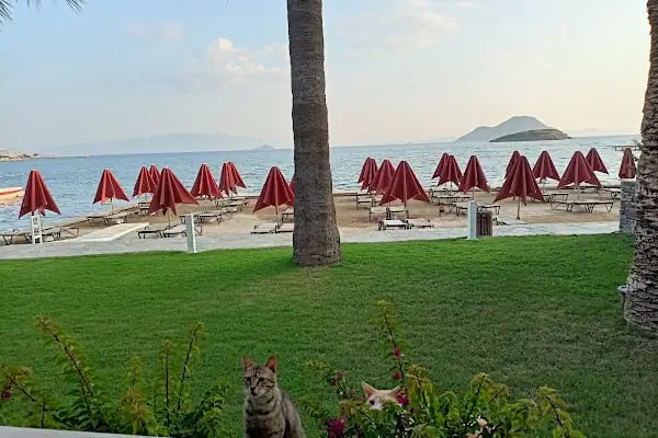 Kadıkale Resort - Resim 17