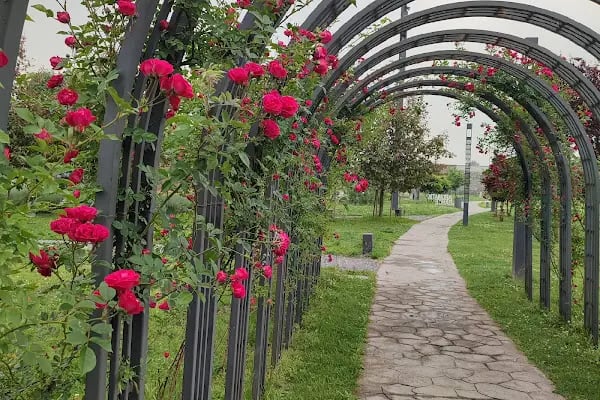 Sakarya Millet Bahçesi - Resim 20