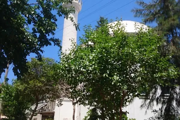 Beyaz Camii - Resim 9