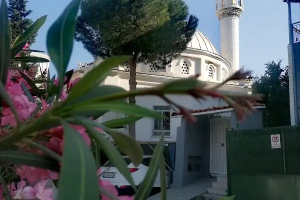 Beyaz Camii - Resim 12
