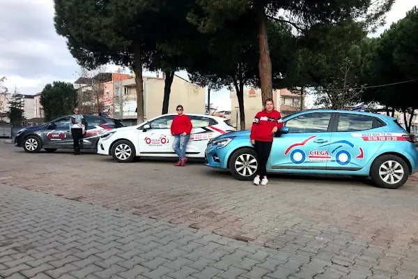 çılga sürücü kursu - Resim 2