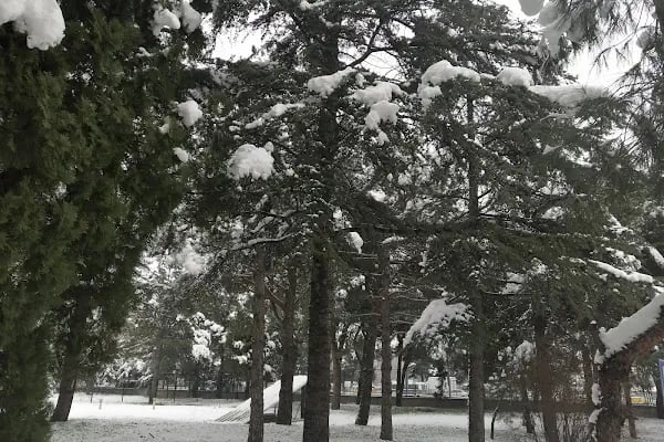 Bursa Teknik Üniversitesi - Resim 9