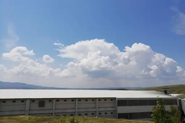 Anadolu Tavukçuluk - Resim 6