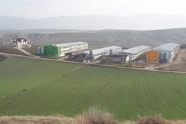 Anadolu Tavukçuluk - Resim 1