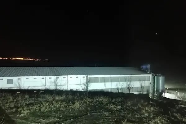 Anadolu Tavukçuluk - Resim 13