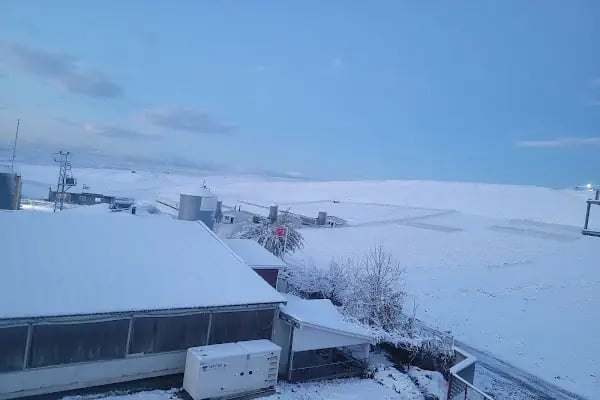 Anadolu Tavukçuluk - Resim 2