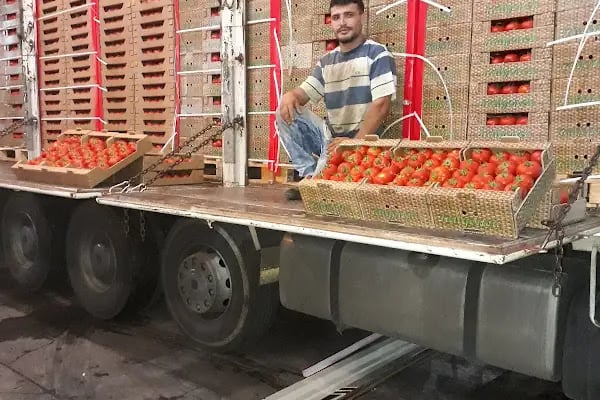 KOÇ MARKET &amp; MANAV - Resim 17