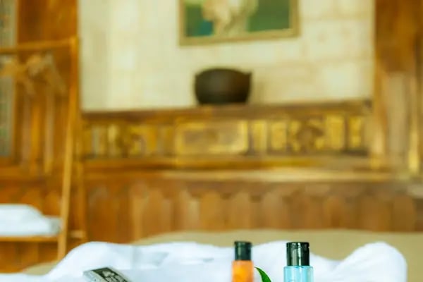 Şanlıurfa Butik Otel Reji Renaissance - Resim 13