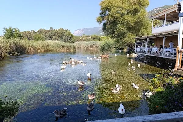 Olta Balık Restaurant - Resim 8