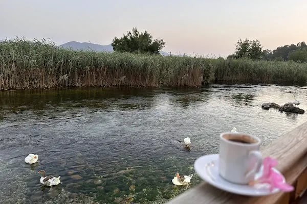 Olta Balık Restaurant - Resim 11