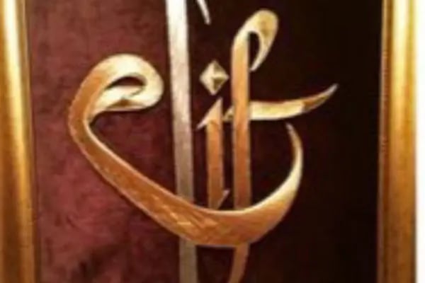 ELİF TERZİ - Resim 13
