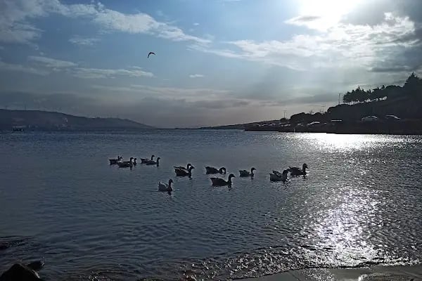 Tanaşa - Resim 5