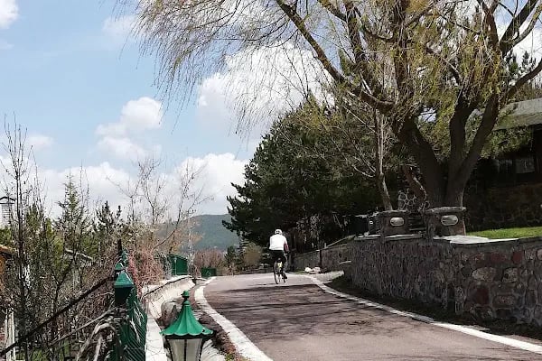 Maviçam Dağ Evleri - Resim 7