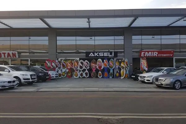 Akseli Group - Resim 1