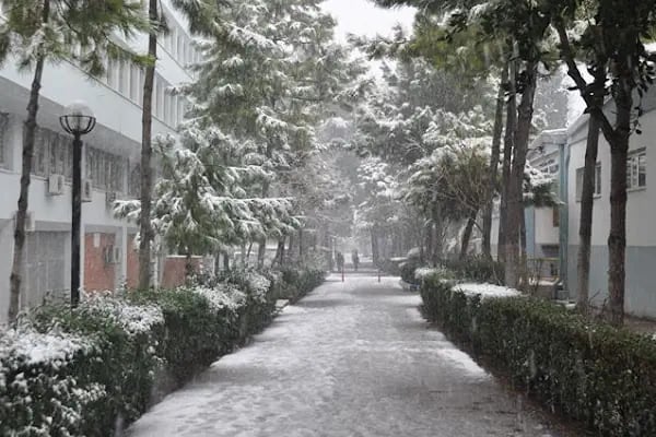 Dokuz Eylül Üniversitesi İktisadi Ve İdari Bilimler Fakültesi - Resim 14