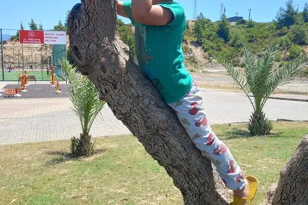 Foto Deniz - Resim 7