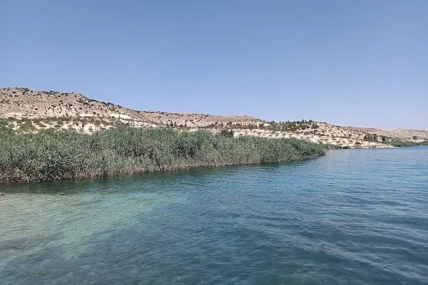 Fıstıkbükü su kenarı - Resim 13