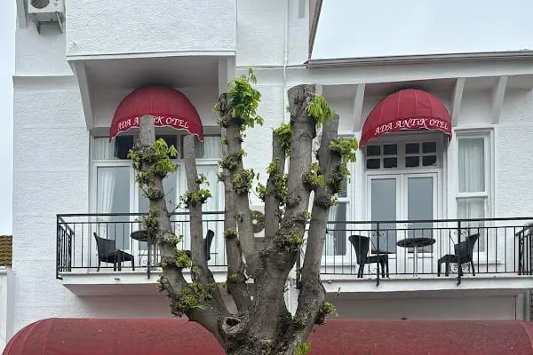 Ada Antik Otel - Resim 15