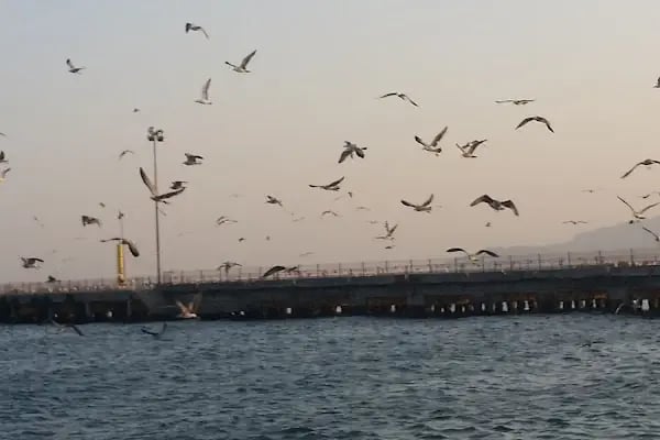 Tuğtaş Kurşunlu Tatil Sitesi - Resim 10
