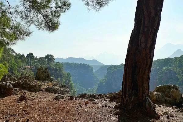 Güver Canyon - Resim 15