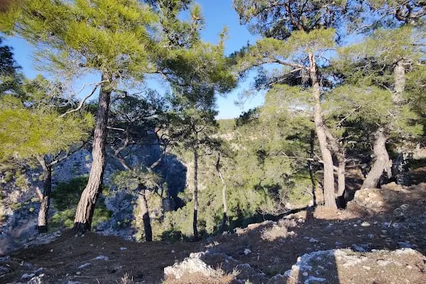 Güver Canyon - Resim 17