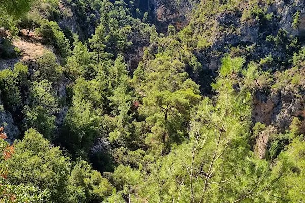 Güver Canyon - Resim 6