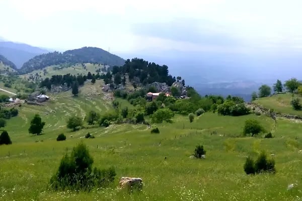 Başkan Ahmet Malikanesi - Resim 9