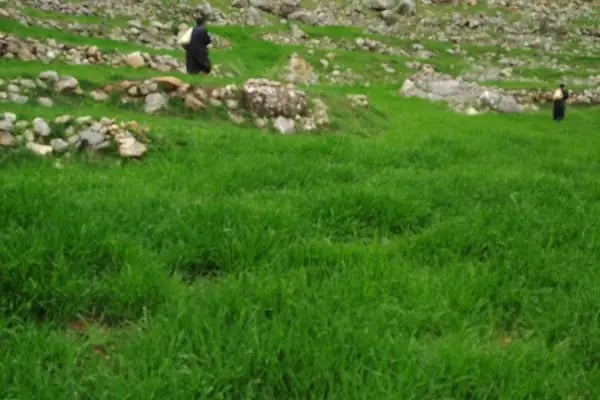 Başkan Ahmet Malikanesi - Resim 8