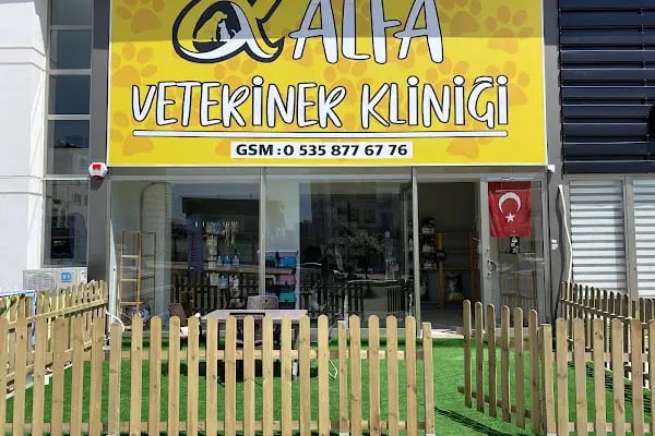 Alfa Veteriner Kliniği Mersin - Resim 7