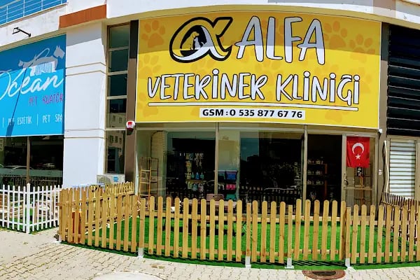 Alfa Veteriner Kliniği Mersin - Resim 2